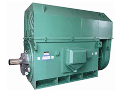 Y3555-2/355KWY系列6KV高压电机